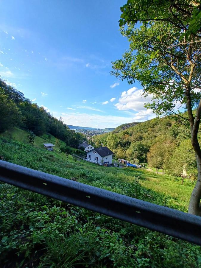 Ferienwohnung Neli Am Rhein Rheinbrohl 外观 照片