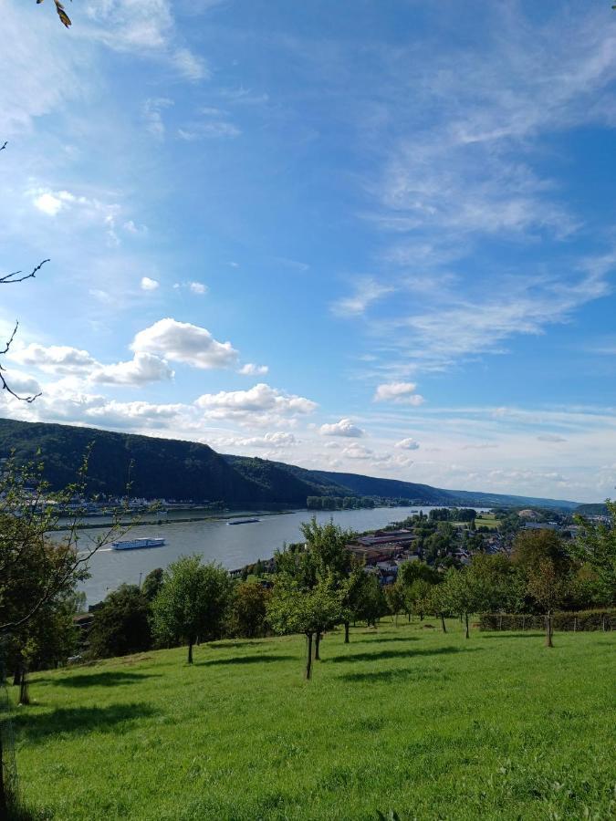 Ferienwohnung Neli Am Rhein Rheinbrohl 外观 照片