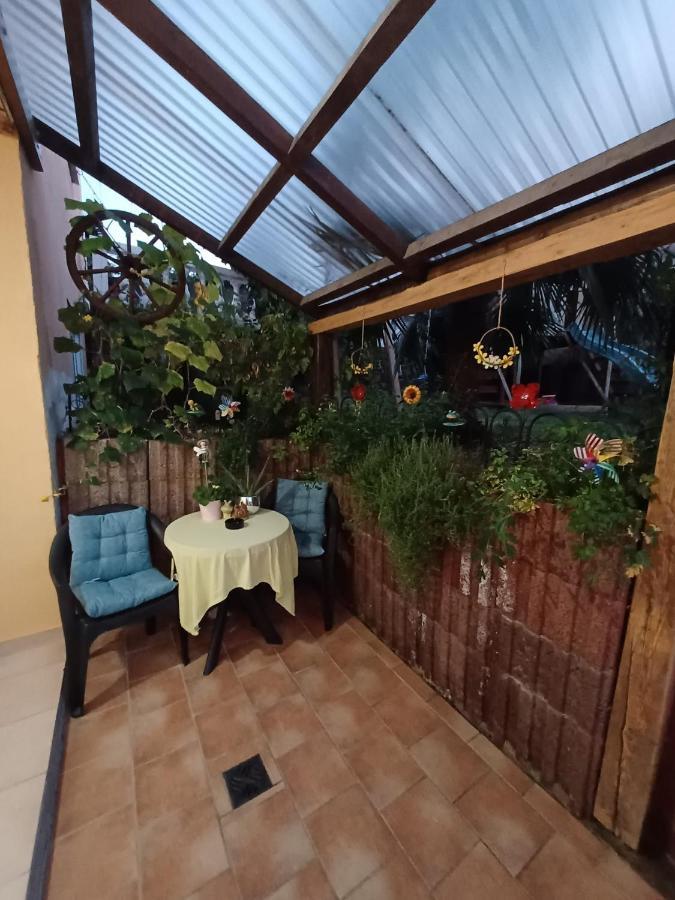 Ferienwohnung Neli Am Rhein Rheinbrohl 外观 照片