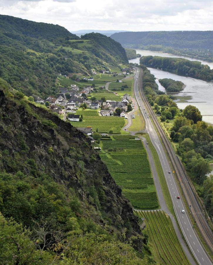 Ferienwohnung Neli Am Rhein Rheinbrohl 外观 照片