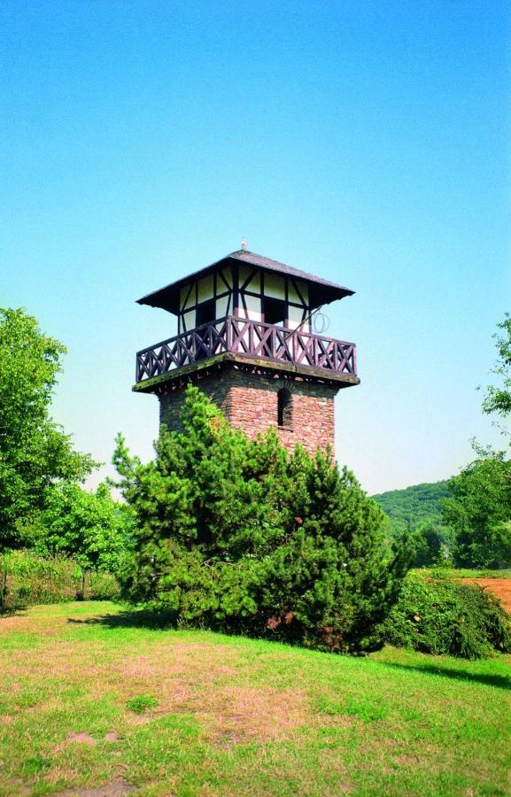 Ferienwohnung Neli Am Rhein Rheinbrohl 外观 照片