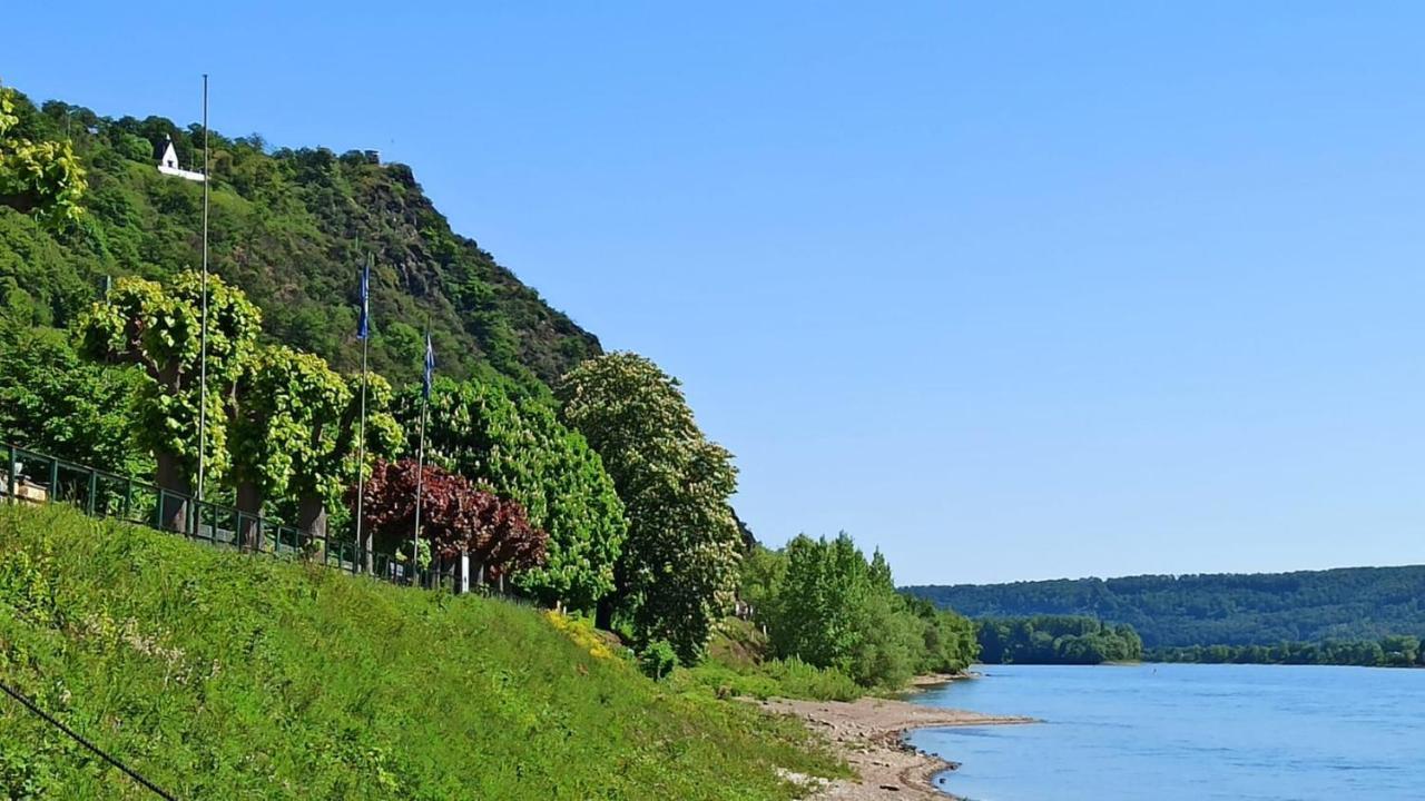 Ferienwohnung Neli Am Rhein Rheinbrohl 外观 照片