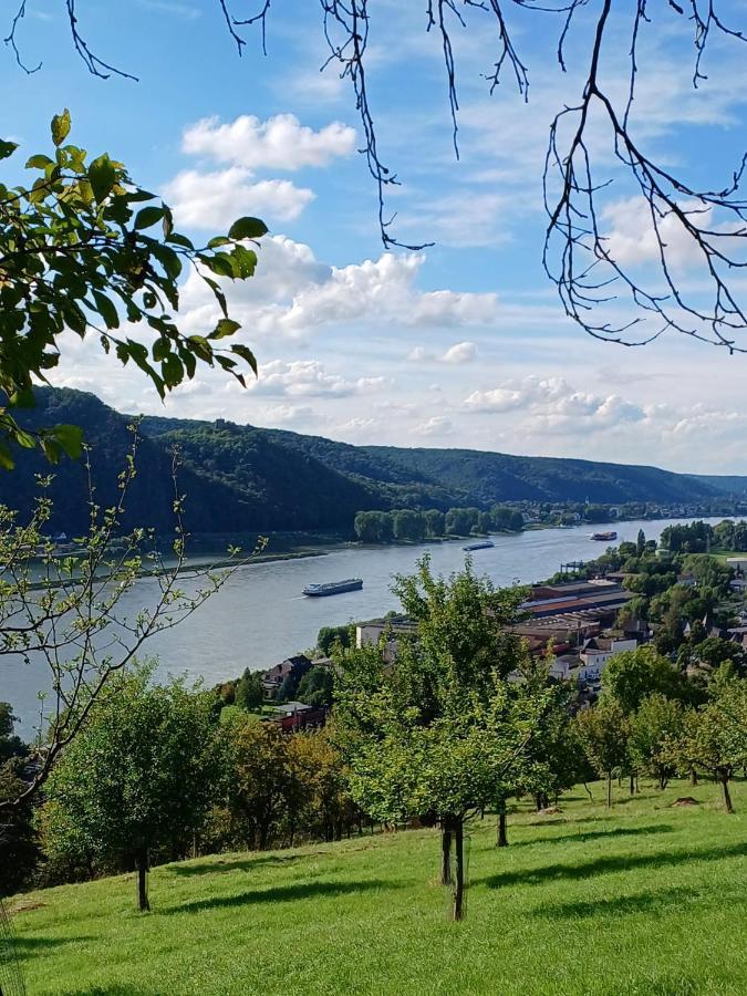 Ferienwohnung Neli Am Rhein Rheinbrohl 外观 照片