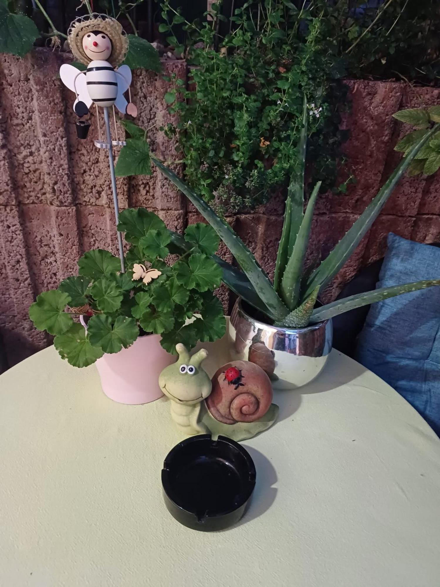 Ferienwohnung Neli Am Rhein Rheinbrohl 外观 照片